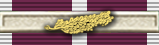 Commendation for Valuable Service Medal (Twice Awarded)