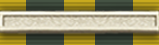 Queen's Volunteer Medal (Twice Awarded)