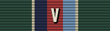 Unit Support Medal (£5 Donated) Unit Support Medal (£5 Donated)