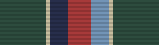 Unit Support Medal