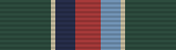 Unit Support Medal (22)