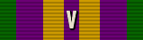 Accumulated Campaign Service Medal Accumulated Campaign Service Medal